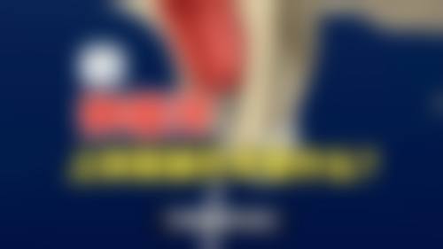 刘涛的学术积累与从业资历