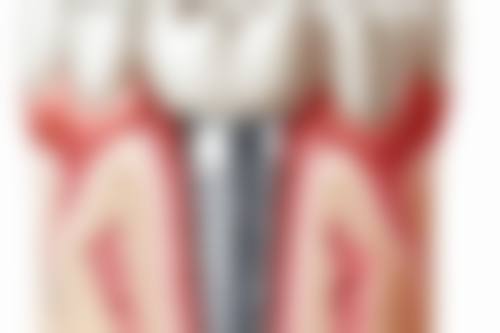 刘涛的价格与坐诊