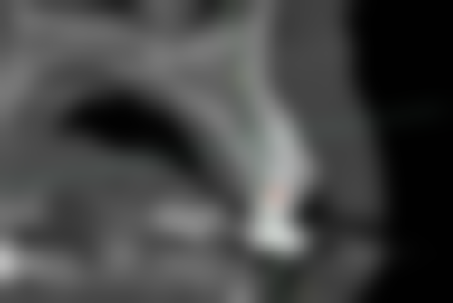 张翼的学术积累与从业资历