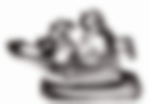 广东汕头朱莲口腔诊所的医生团队