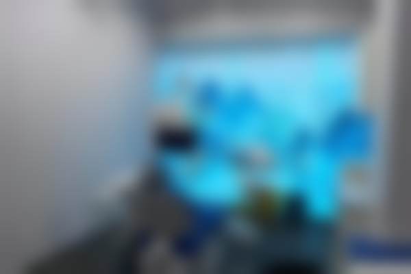 东莞虎门齿晨口腔门诊部医生团队