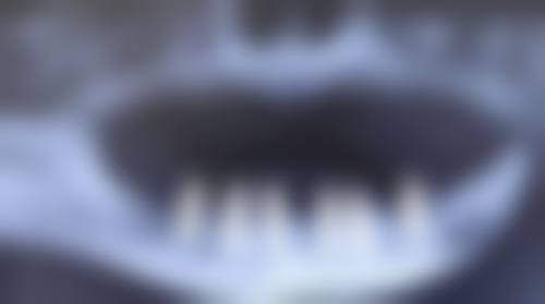 廖蓉的学术积累与从业资历