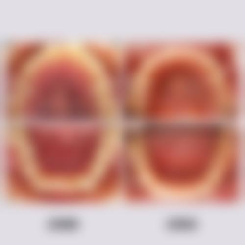 邓扬波的学术积累与从业资历