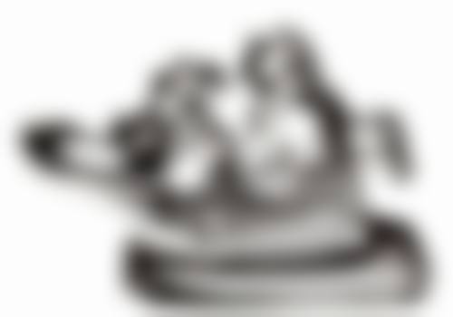 遵义贝德口腔的价格收费