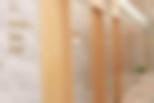 韩梅的学术积累与从业资历