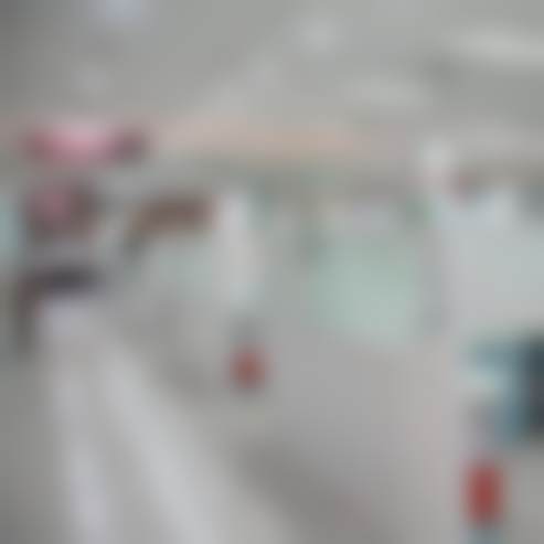 赵明镜的学术积累与从业资历