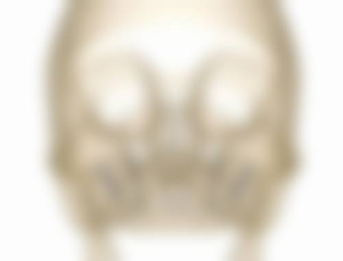 周瑞庆的学术积累与从业资历