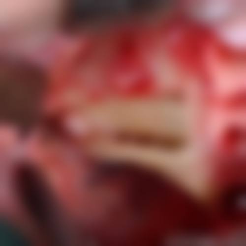 周瑞庆的价格与坐诊