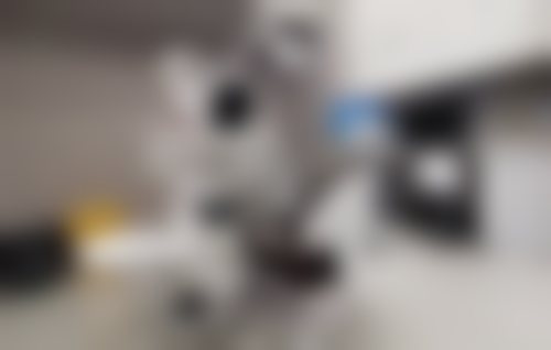 北京牙元素口腔门诊部概况