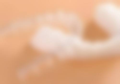 王婷的学术积累与从业资历