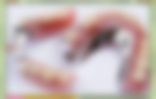 李彦玲的学术积累与从业资历