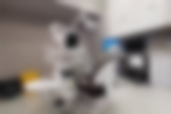 孙濠的临床实战与真实实例