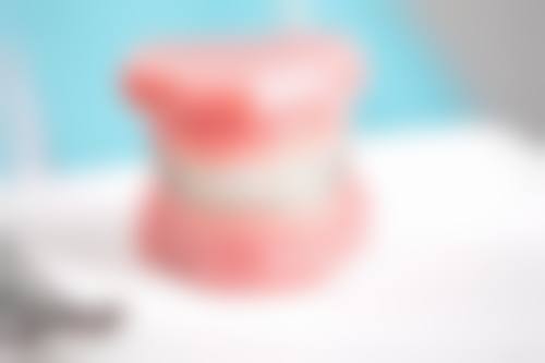 朱雅丽的学术积累与从业资历