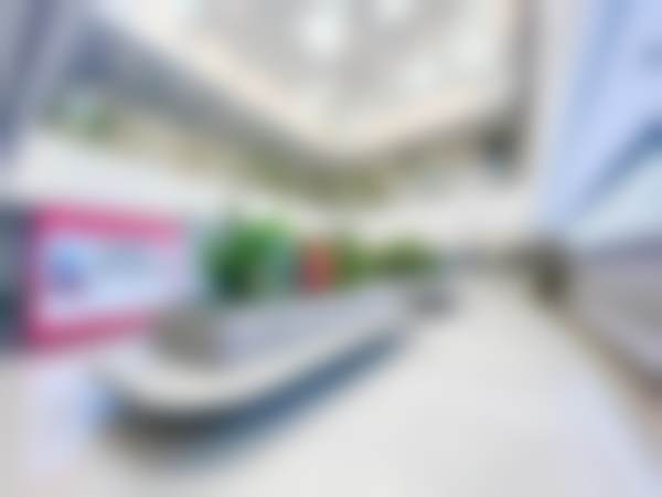 赵宝栋的学术积累与从业资历