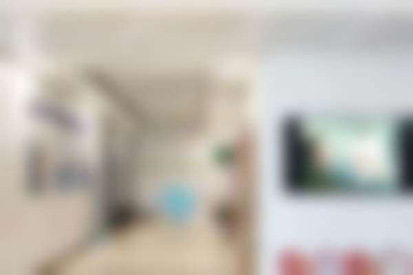 谭丹的学术积累与从业资历