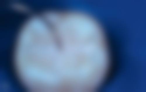 河源市邦齿口腔门诊患者真实评价