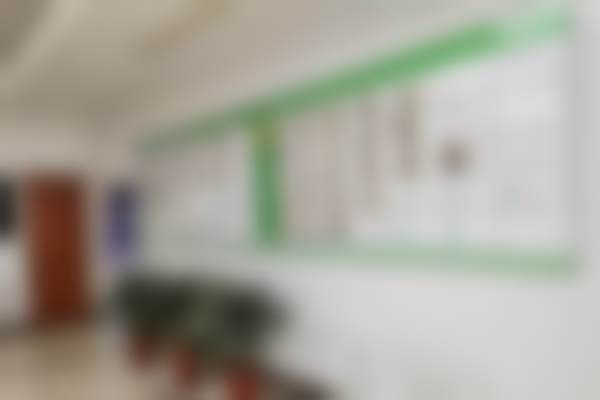 沈玮的学术积累与从业资历