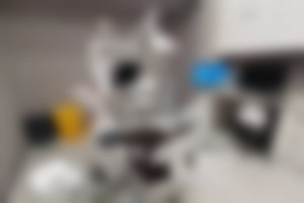 刘可新的学术积累与从业资历