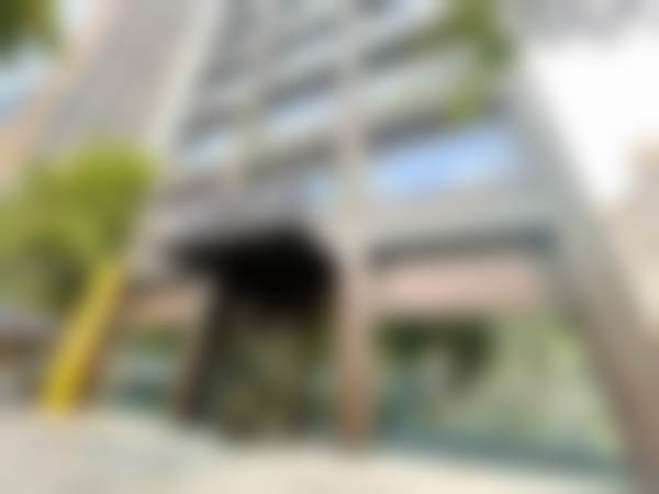 金苗的学术积累与从业资历