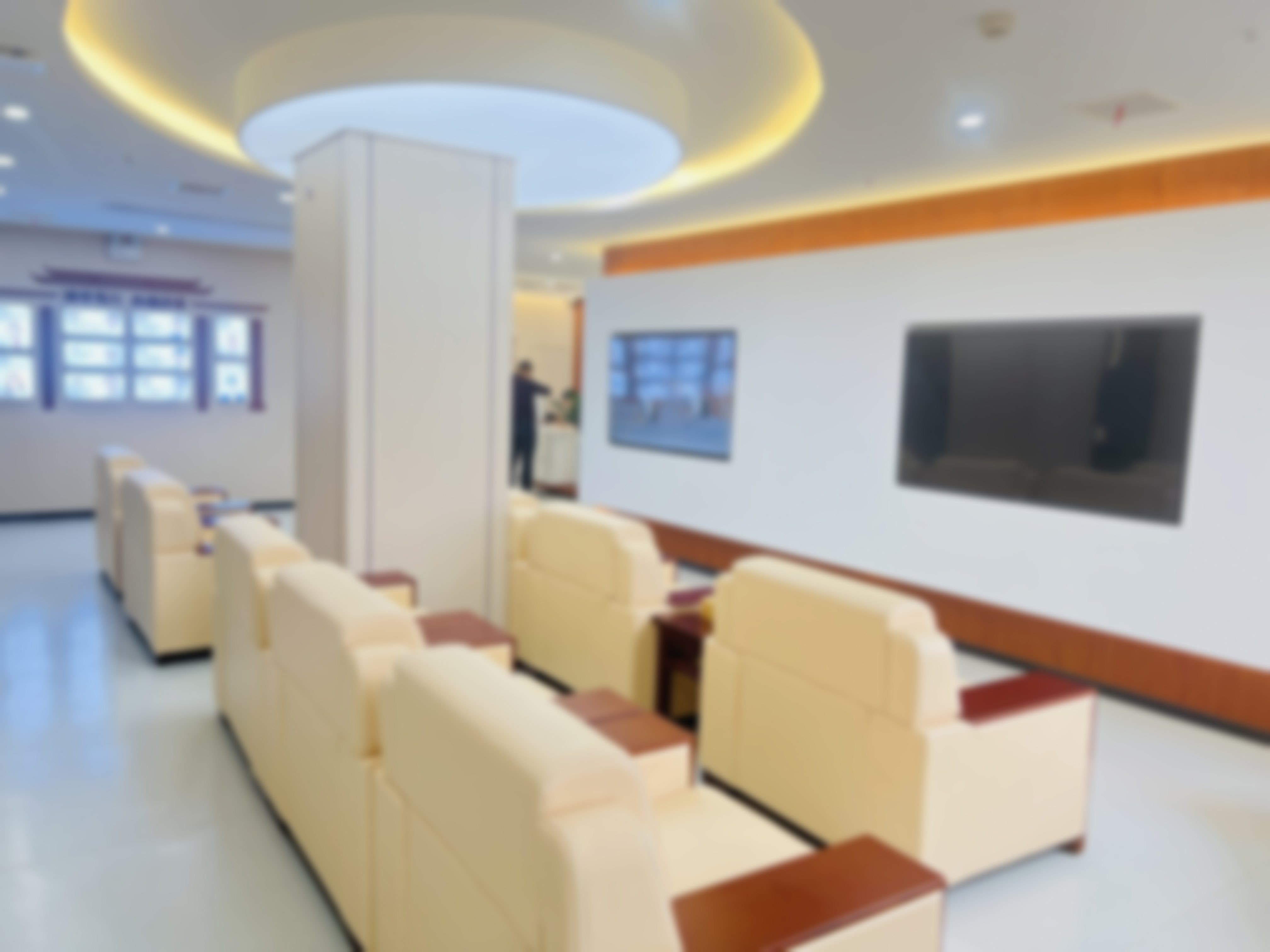 吴亮亮的学术积累与从业资历