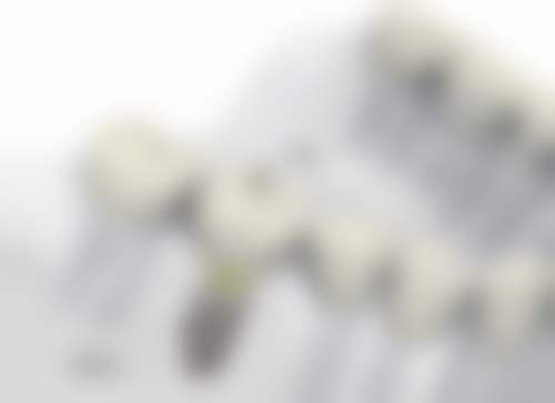 白冰的学术积累与从业资历