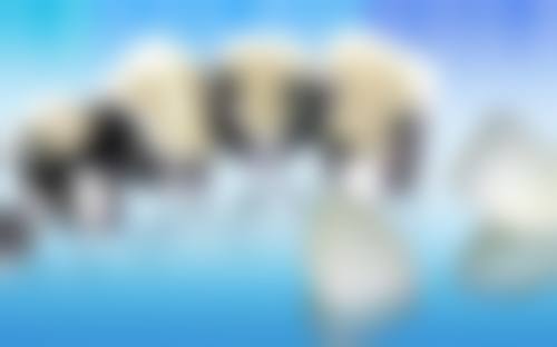 平远德艺嘉应口腔门诊部医生团队实力