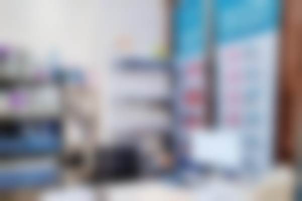 莫伶伶的学术积累与从业资历