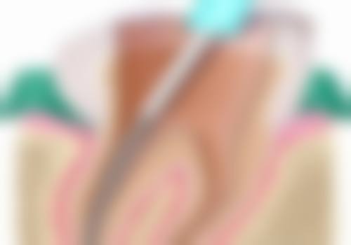 宁德福安摩尔口腔门诊部基本就诊信息