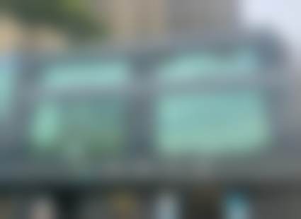 林彤的学术积累与从业资历