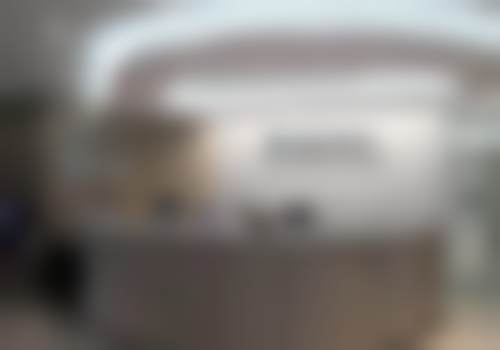 罗志强的学术积累与从业资历