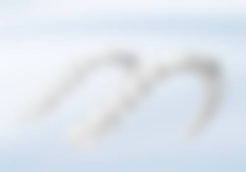 共青城丽康口腔门诊部收费价格参考