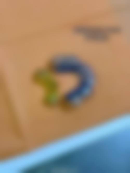 方稚荣的临床实战与个性化诊疗