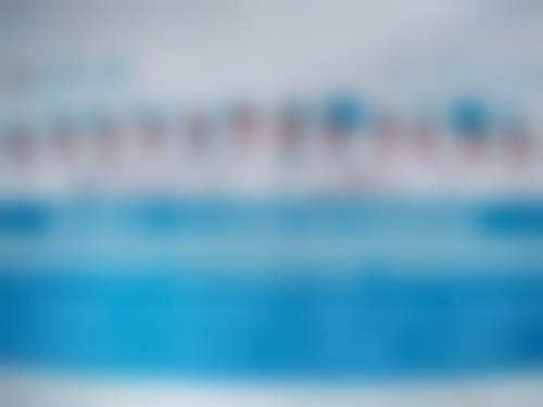 赵莎莎的学术积累与从业资历