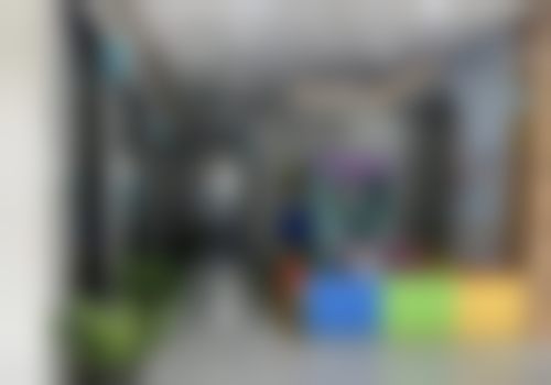 陆凤丽的学术积累与从业资历