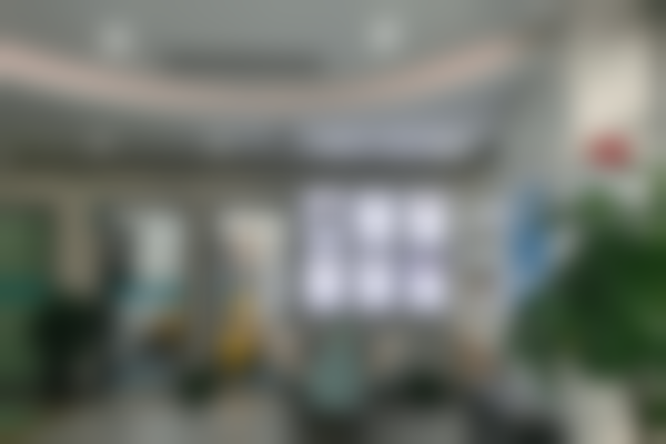 杨青梅的价格与坐诊指引