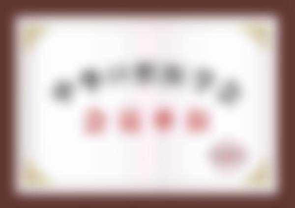 魏婷的学术积累与从业资历