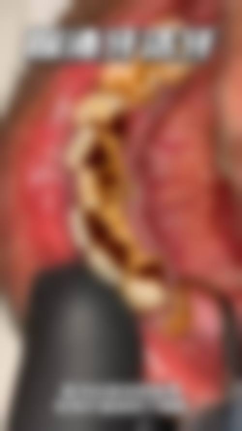 郑州方寸口腔门诊部特色诊疗项目