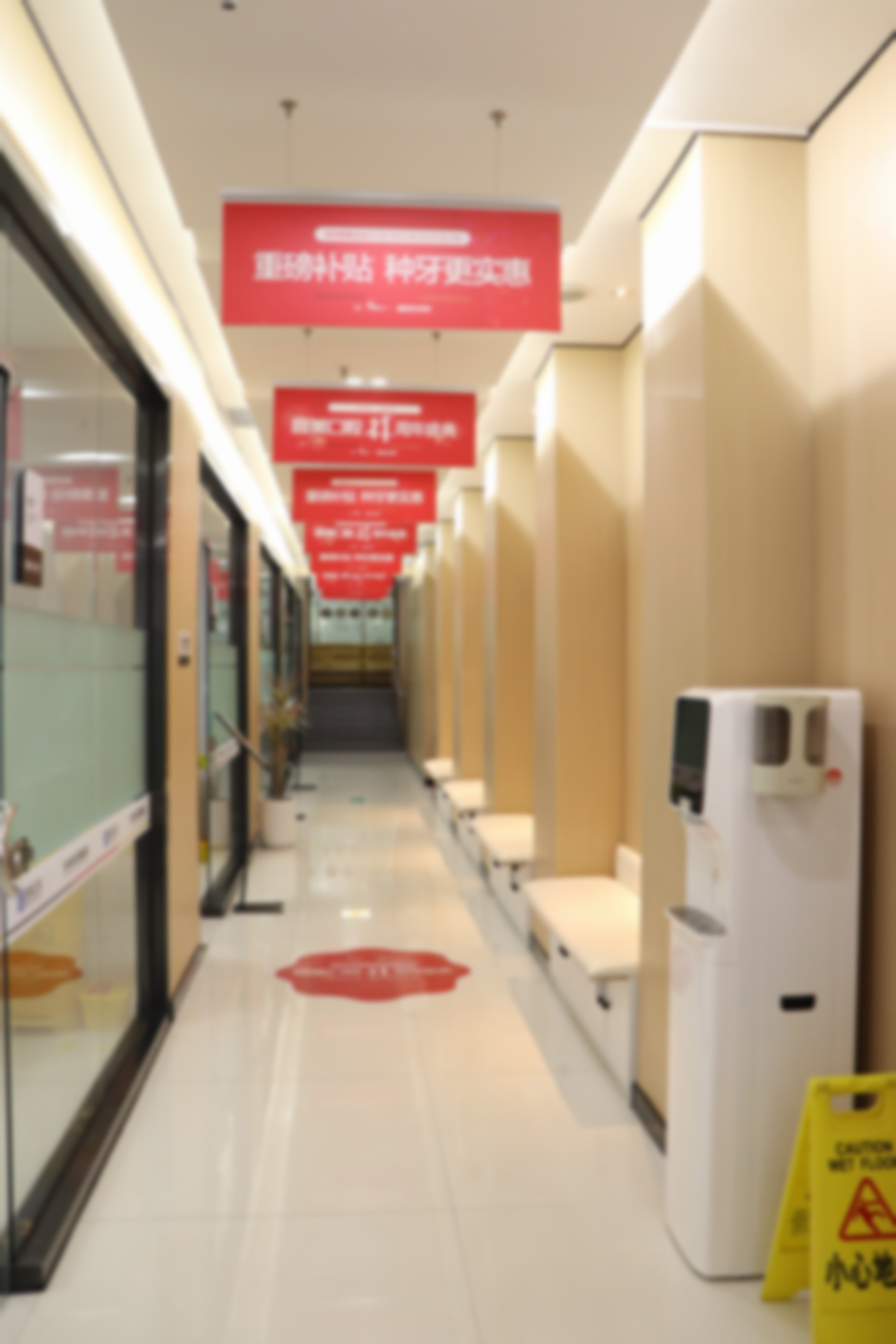 齐丹丹的学术积累与从业资历