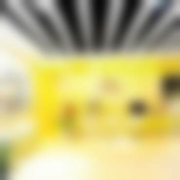 谢艳婷的价格与坐诊指引