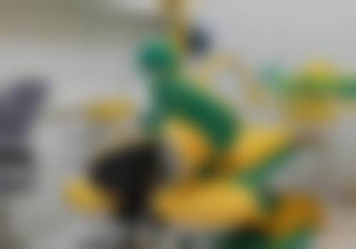 罗志强的学术积累与从业资历