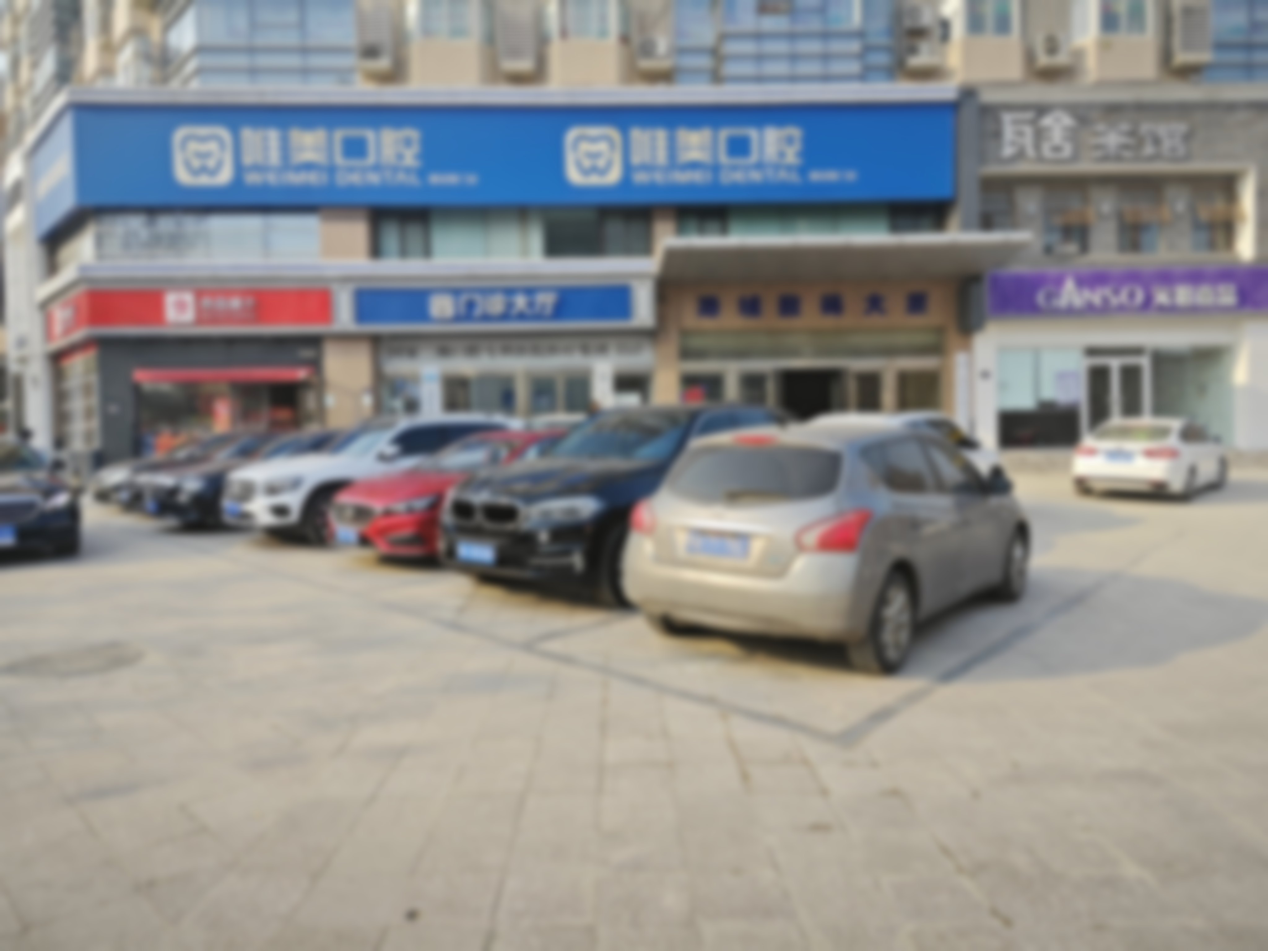 谢艳婷的学术积累与从业资历