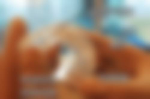 上海奇正口腔价格收费标准