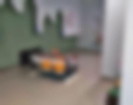 樊思雨的学术积累与从业资历