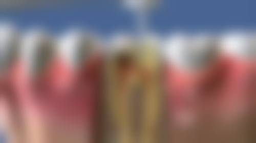 孙玉龙的价格收费与就诊指引