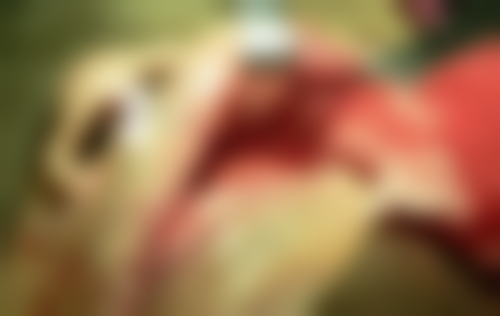 滨州滨城牙博士口腔门诊部医疗团队实力