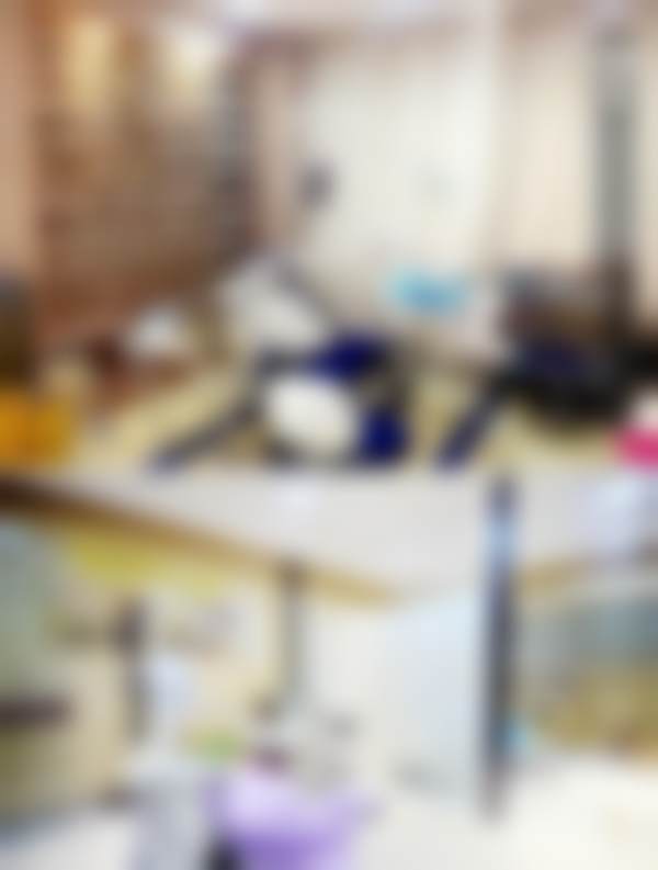 潘向超 的学术积累与从业资历