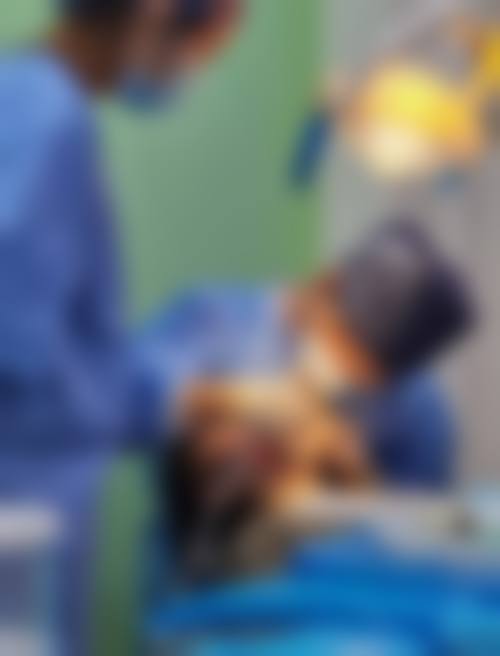 沈阳和平佳贝尔口腔门诊部医护团队实力