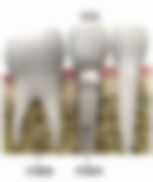 深圳牙典娜口腔门诊部技术优势