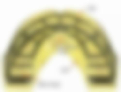 湖北孝感植贝尔口腔医生团队实力