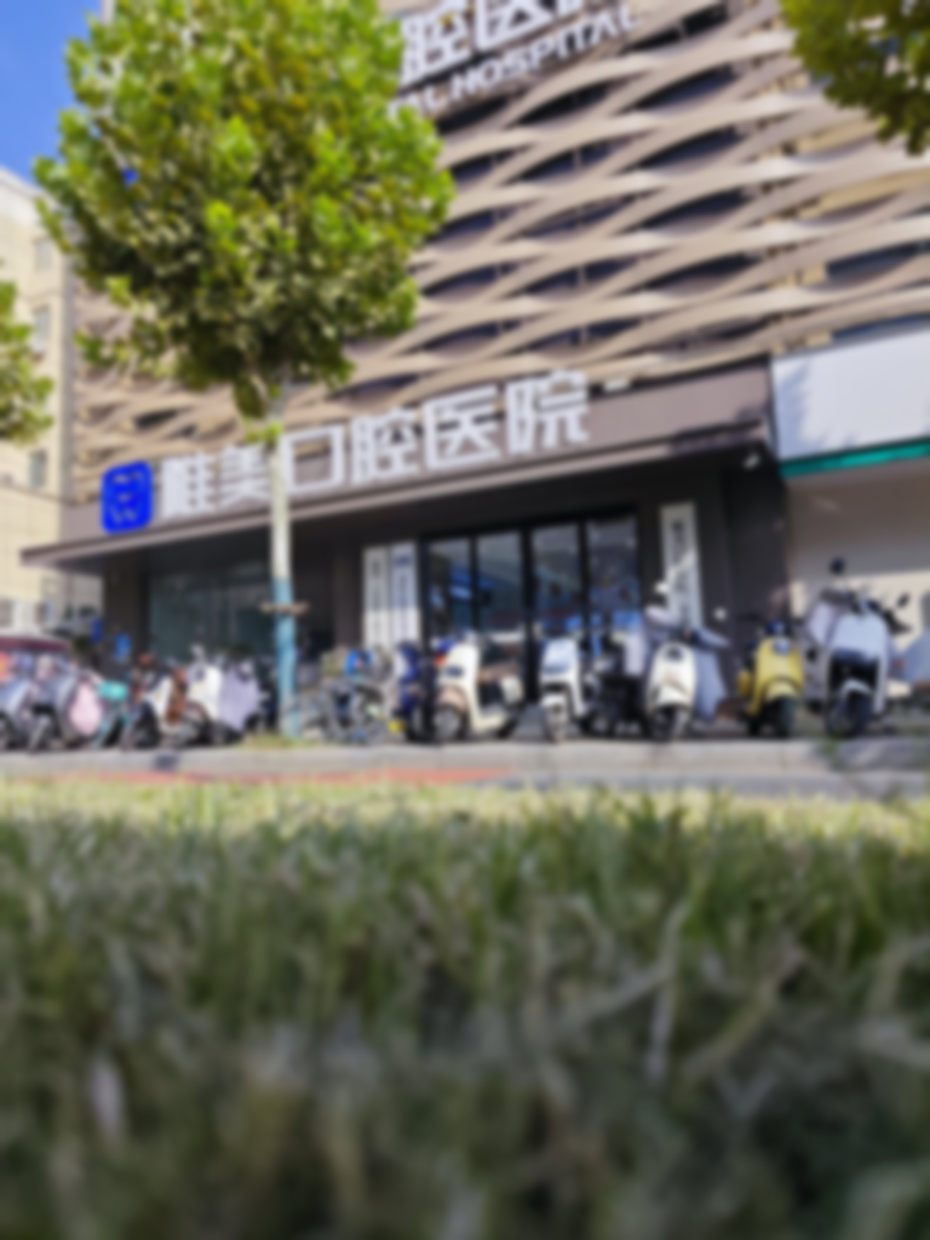 王海彦的临床实战与个性化方案制定